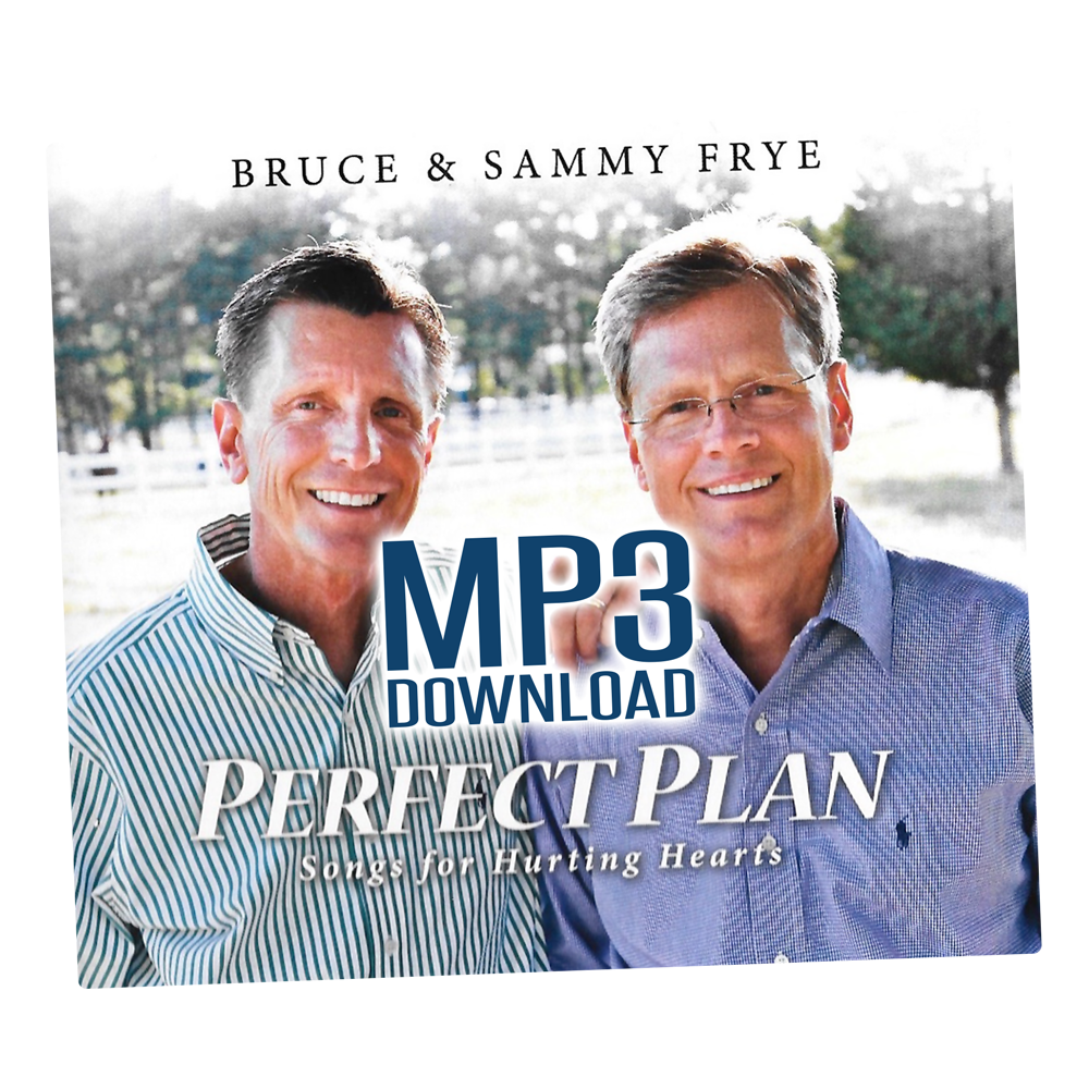 Perfect Plan - Track 1